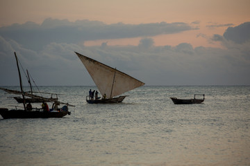 zanzibar, turquoise sea, unique nature, paradise island.