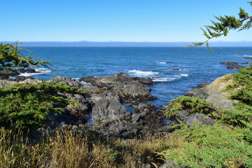 Fototapeta na wymiar Coastal views of the N. California coat
