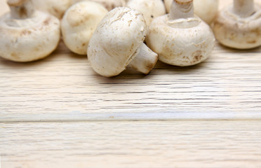 マッシュルーム