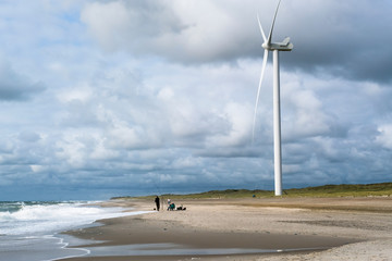 beautiful west coast denmark, europe