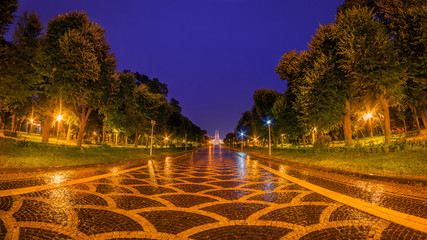 Alley in park during rain in a night