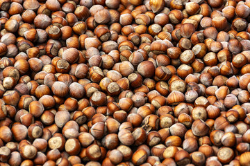 pile of hazelnuts
