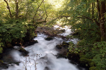 Obraz premium Wodospad w Czarnogórze.
