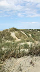 Dünenlandschaft am Meer