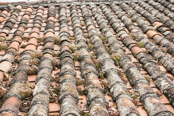 Characteristic red tiles in the old, medieval, Portuguese town of Obidos
