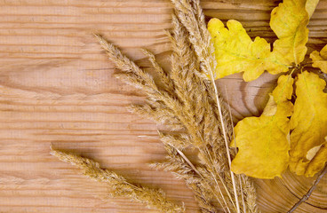 dry yellow oak leaves and dry grass plant lie on a wooden background