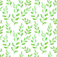 Seamless Realistic Watercolor Greenery Pattern. Hand Drawn Eucalyptus Leaves and Branches Print. Summer, Spring Forest Herbs, Plants Texture. Foliage in Vintage Style. Nature Eco Friendly Concept.