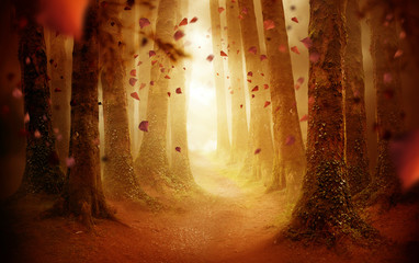 Een met bomen omzoomd pad dat leidt naar een herfstgekleurd bos met vallende bladeren als de zon er doorheen schijnt. Foto composiet.