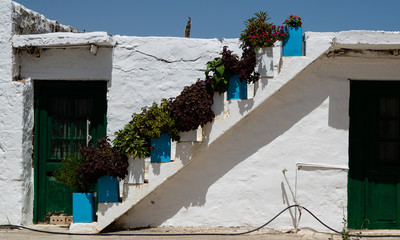 Greece stairs with plants