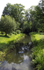 Utrata River in Zelazowa Wola, Mazowieckie, Poland