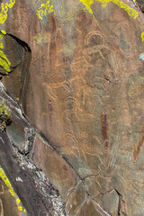 Ancient rock paintings Petroglyphs in the Altai Mountains, Russia.