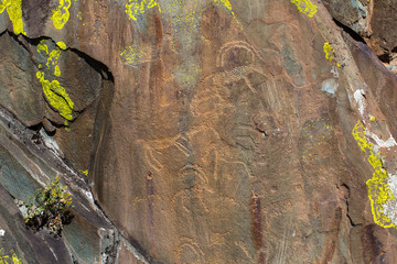 Ancient rock paintings Petroglyphs in the Altai Mountains, Russia.