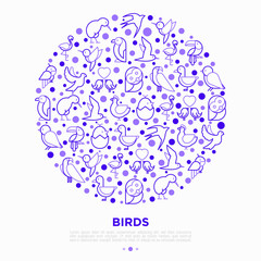 Birds concept in circle with thin line icons: dove, owl, penguin, sparrow, swallow, kiwi, parrot, eagle, humming bird, pink flamingo. Modern vector illustration, print media template.