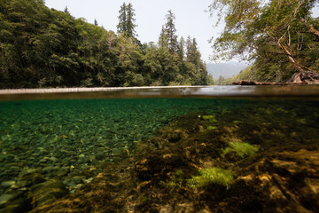 Over and Under picture of a river during a vibrant sunny summer day. Taken near Tofino and Ucluelet, Vancouver Island, BC, Canada. © edb3_16