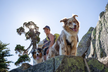 Obraz premium Woman and dogs are hiking during a vibrant summer day. Taken in Howe Sound, near Vancouver, BC, Canada.