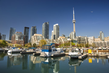 City skyline view of CN Tower in Toronto, Ontario, Canada from the marina along Lake Ontario