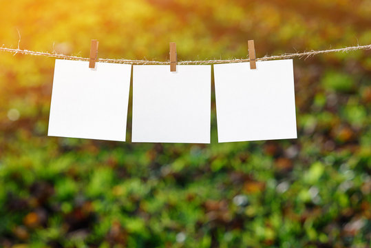 Close up of three white note papers hung by wooden clothes pegs on the background of park.