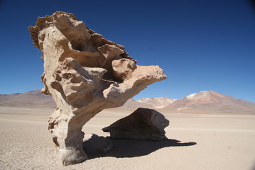 Fototapeta na wymiar Arbol de Pietra - Altiplano, Bolivien