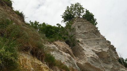 Fototapeta premium Scogliera bianca di Stevns Klint in Danimarca