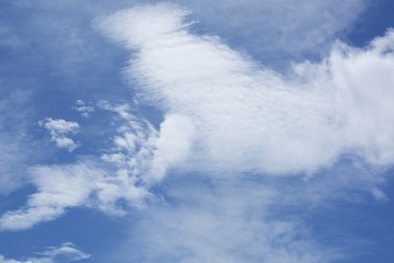 Autumn scenery background / Blue sky and white clouds