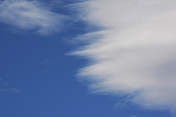 Autumn scenery background / Blue sky and white clouds