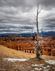 Bryce Canyon