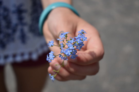 Girl holding light blue color flowers