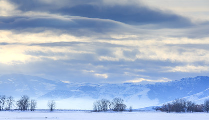 Blue landscape 