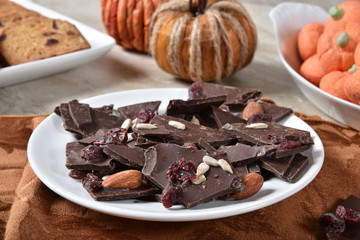 Cranberry chocolate bark