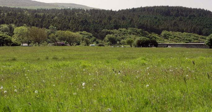 A pan across the ruins of an old Irish castle that sits on cliffs overlooking the ocean.