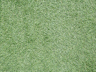 Green grass , natural background texture.