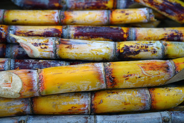 Sticks of fresh sugar cane at a market in Hawaii