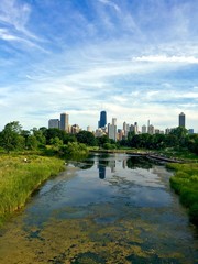 Fototapeta na wymiar Chicago skyline from Lincoln Park