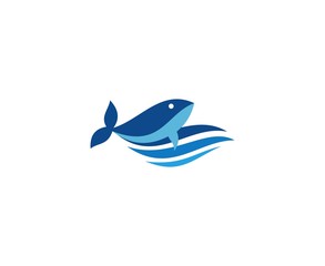 Whale logo
