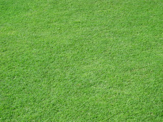 Green Grass