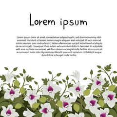 floral background vector design