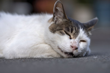 伝わる気持ちよさ