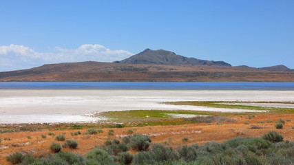 Obraz premium Antelope Island State Park in Utah