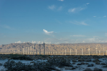 Fototapeta na wymiar Palm Springs Windmills