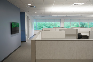 cubicles inside office building with green trees outside the window