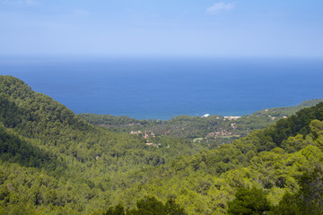 Fototapeta premium View of Dense Forest, Valley, and Ocean From Mountain Peak