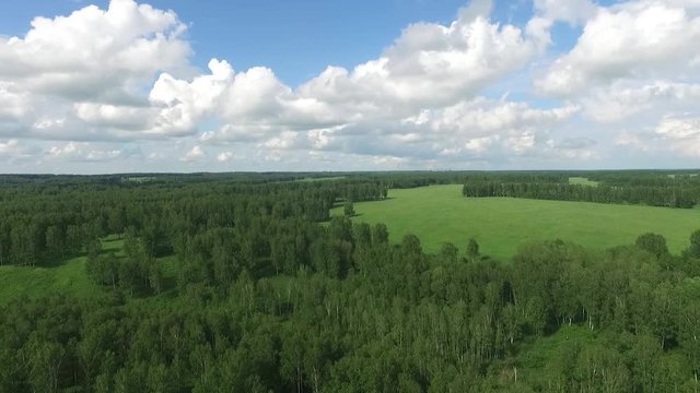 blue sky and green plain