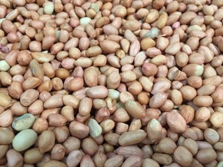 Peanut