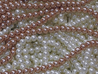 pearl necklaces  in a jewelry