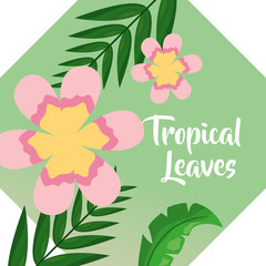 pink flowers palm leaf banner tropical leaves