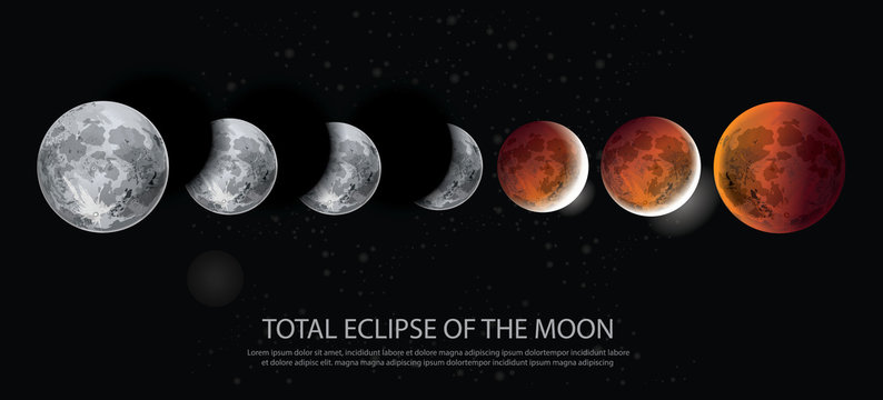 Total Eclipse of the Moon Vector illustration