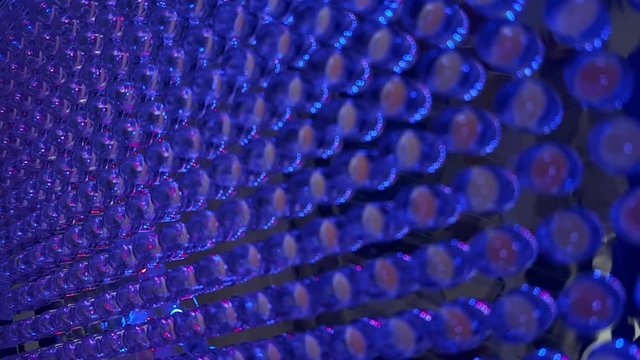 Close Up of Rows of LED Light Bulb Diodes