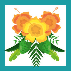 beautiful arrangement flowers ornament tropical leaves