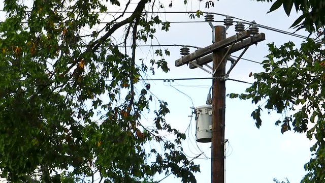An old, wooden powerline stands framed by green leaves on an overcast day.  Shot is framed from just below the transformer and above the insulators.  It is an overcast day with a light breeze.