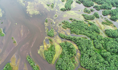 Aerial landscape from the drone - river delta